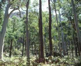 Cathedral Range State Park - Find Attractions 0
