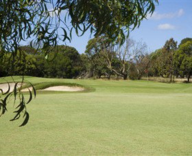 Curlewis Golf Club - Find Attractions 0