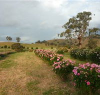 Damasque Rose Oil Farm - Find Attractions