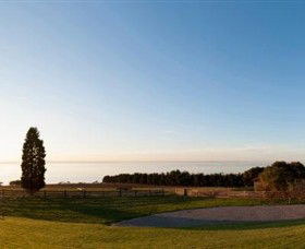 Jack Rabbit Vineyard - Find Attractions 3