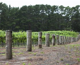 Leura Park Estate - Find Attractions 6