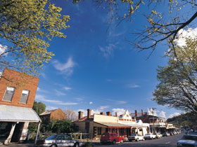 Drysdale Cheeses - Find Attractions 1