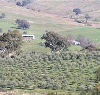Wymah Organic Olives and Lambs - Find Attractions