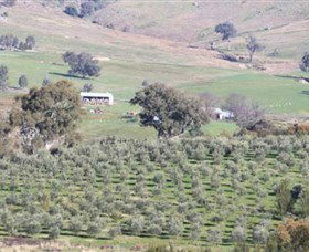 Wymah Organic Olives And Lambs - Find Attractions 0