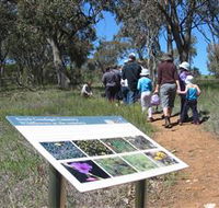 South Gundagai Woodlands Walk - Find Attractions