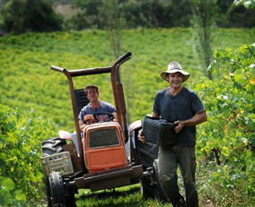 Kellybrook Winery, Kelly Brothers Cider & Riders Brew Co. - Find Attractions 0
