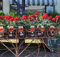 Van Loon's Nursery - Find Attractions