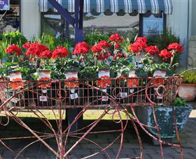 Van Loon's Nursery - Find Attractions 0