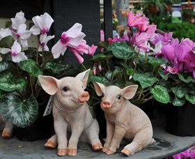 Van Loon's Nursery - Find Attractions 2