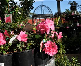 Van Loon's Nursery - Find Attractions 1