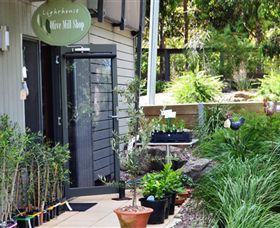 The Lighthouse Olive Mill Shop - Find Attractions 0
