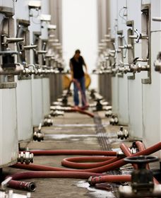 Punt Road Winery - Find Attractions 5