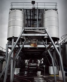 Punt Road Winery - Find Attractions 8