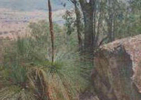 Mount Lawson State Park - Find Attractions 0