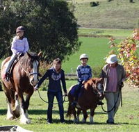 Bathurst Farm Experience - Find Attractions