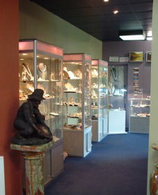 Billabong Blue Sapphires - Find Attractions 0