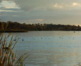 Lake Inverell Reserve - Find Attractions 0