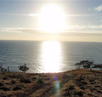 Southend Curtis Island - Find Attractions