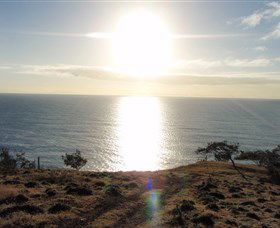 Southend Curtis Island - Find Attractions 0