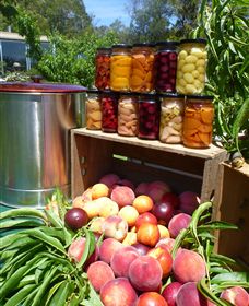 Rayner's Orchard - Find Attractions 8