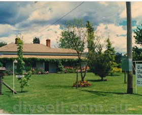 Tumut Valley Violets - Find Attractions 0