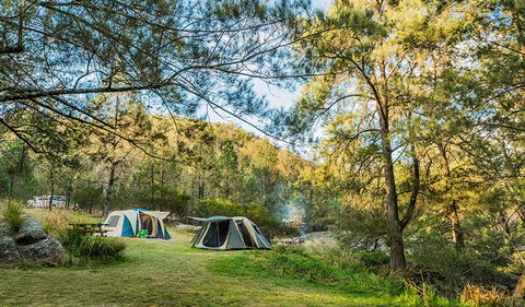 Warrabah National Park - Find Attractions 1
