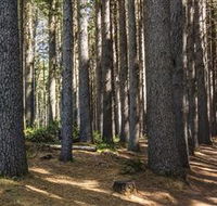 Sugarpine Walk - Find Attractions