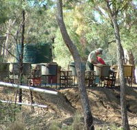 7 Oaks Sapphire Fossicking - Find Attractions
