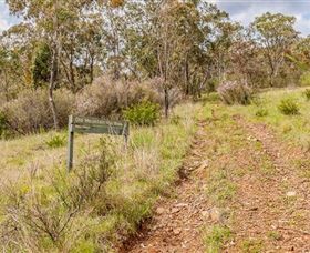 Old Mountain Road Walking Track - Find Attractions 0