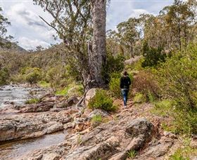 Old Mountain Road Walking Track - Find Attractions 2