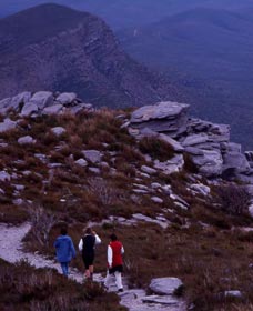 Bluff Knoll, Stirling Range National Park - Find Attractions 0