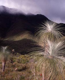 Bluff Knoll, Stirling Range National Park - Find Attractions 3