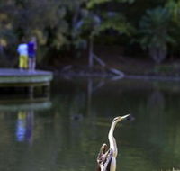 Birdwatching in the South Burnett - Find Attractions