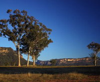 Capertee Valley Bird Trail