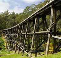 Noojee Trestle Bridge - Find Attractions