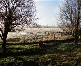 Jannei Artisan Cheese Makers - Find Attractions 2