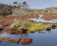 French Island National Park