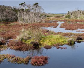 French Island National Park - Find Attractions 0