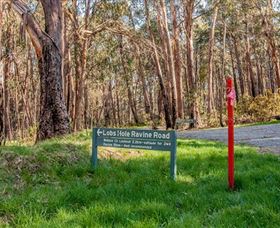 Lobs Hole Ravine 4WD Trail - Find Attractions 0