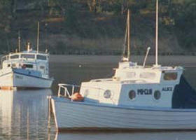 Western Port - Find Attractions 0