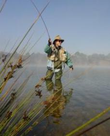 Lake Wallace - Find Attractions 0
