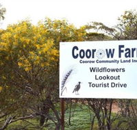 Coorow Farm Wildflower Trail - Find Attractions