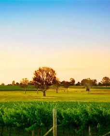 Canberra District Wineries - Find Attractions 0