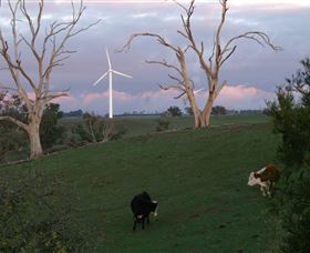 Crookwell Wind Farm - Find Attractions 1