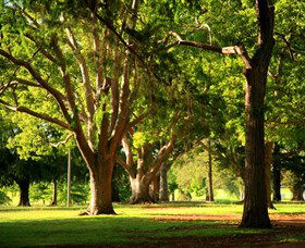 Queens Park, Toowoomba - Find Attractions 1