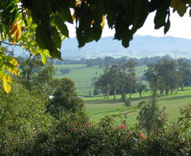 Brandy Creek Wines & View Cafe - Find Attractions 5
