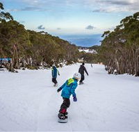 Mt Baw Baw Alpine Resort - Find Attractions