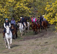 Burnelee Excursions on Horseback - Find Attractions