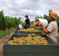 Golden Grove Estate - Find Attractions