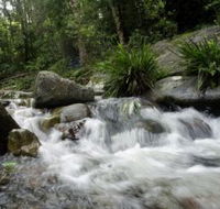 Washpool National Park - Find Attractions